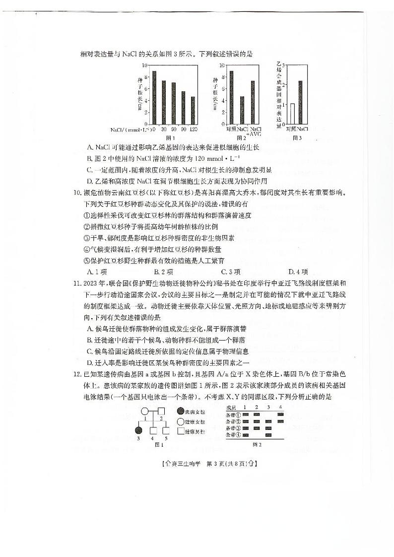 甘肃省武威市2023-2024学年高三上学期1月期末考试生物第3页