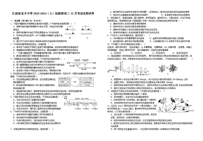 2024宜春宜丰中学高二上学期12月月考试题生物含解析01