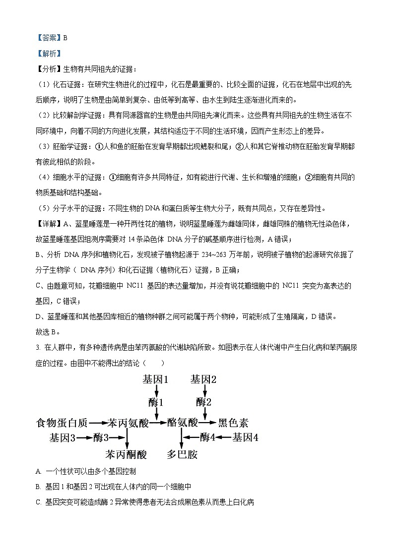 重庆市黔江中学校2023-2024学年高二10月月考生物试题含解析第2页