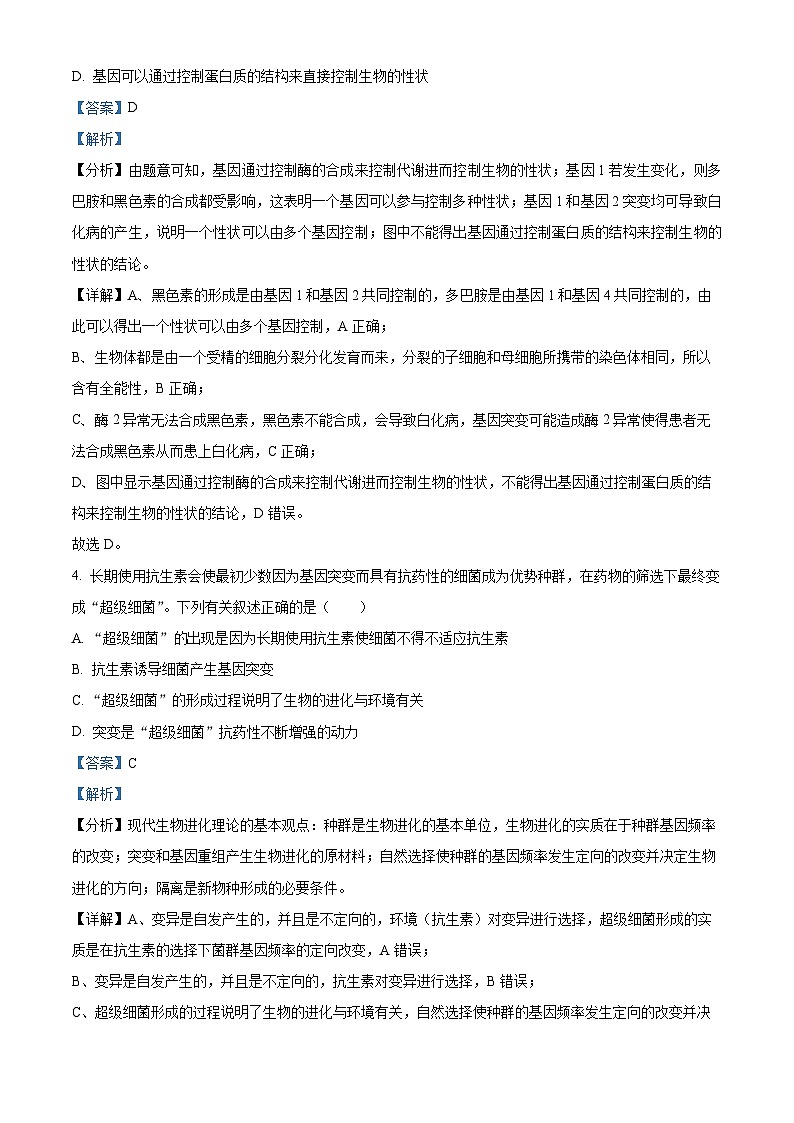 重庆市黔江中学校2023-2024学年高二10月月考生物试题含解析第3页