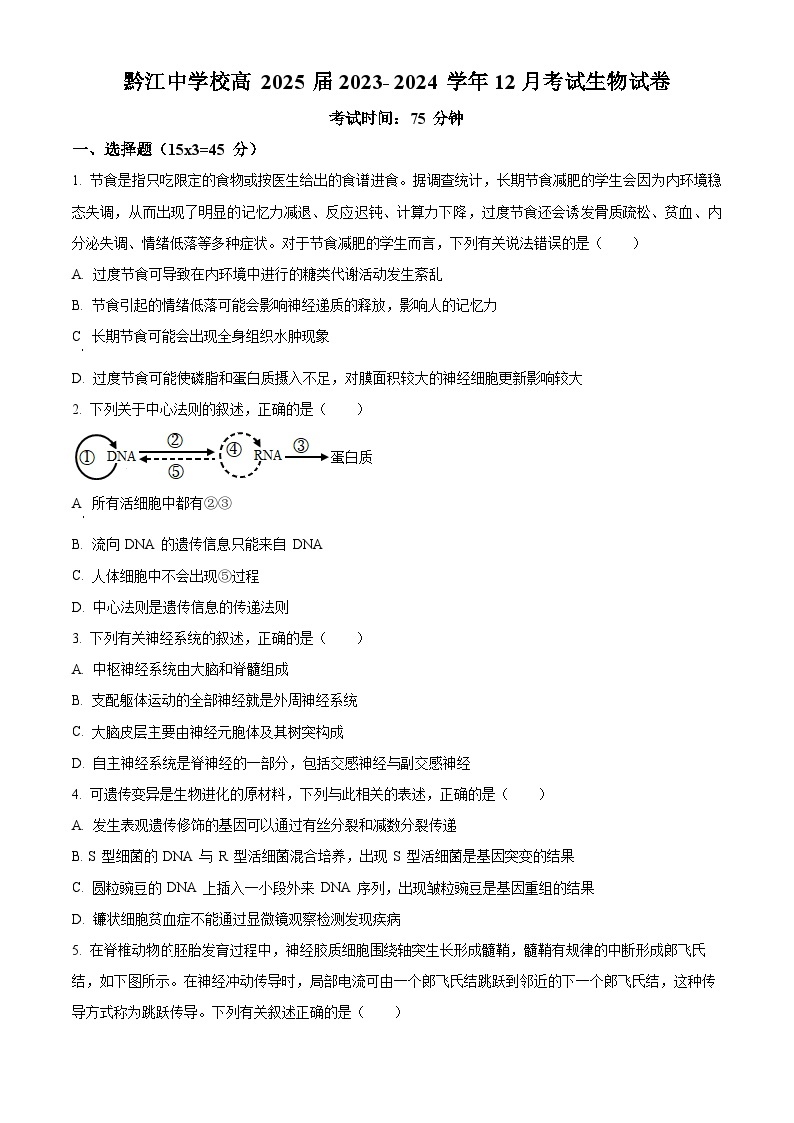 2024重庆黔江区黔江中学高二上学期12月月考生物试题含解析01