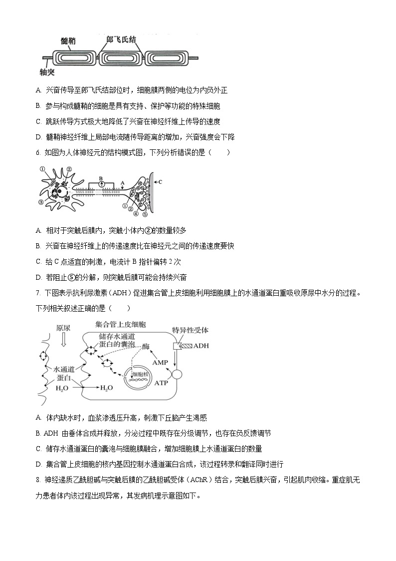 2024重庆黔江区黔江中学高二上学期12月月考生物试题含解析02