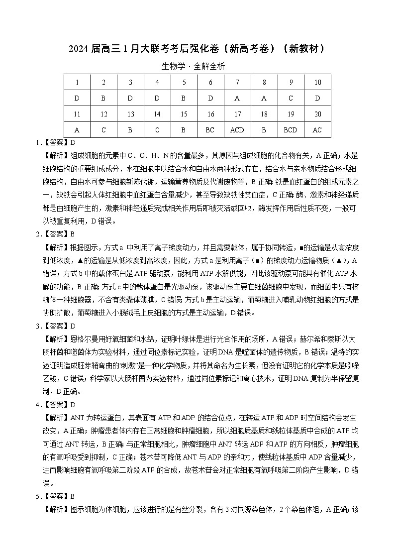2024届高三1月大联考考后强化卷(新课标II卷)生物试题01