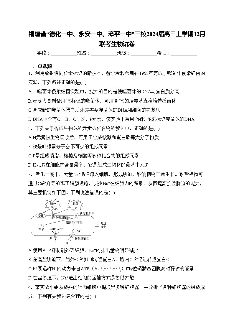 福建省“德化一中、永安一中、漳平一中”三校2024届高三上学期12月联考生物试卷(含答案)01