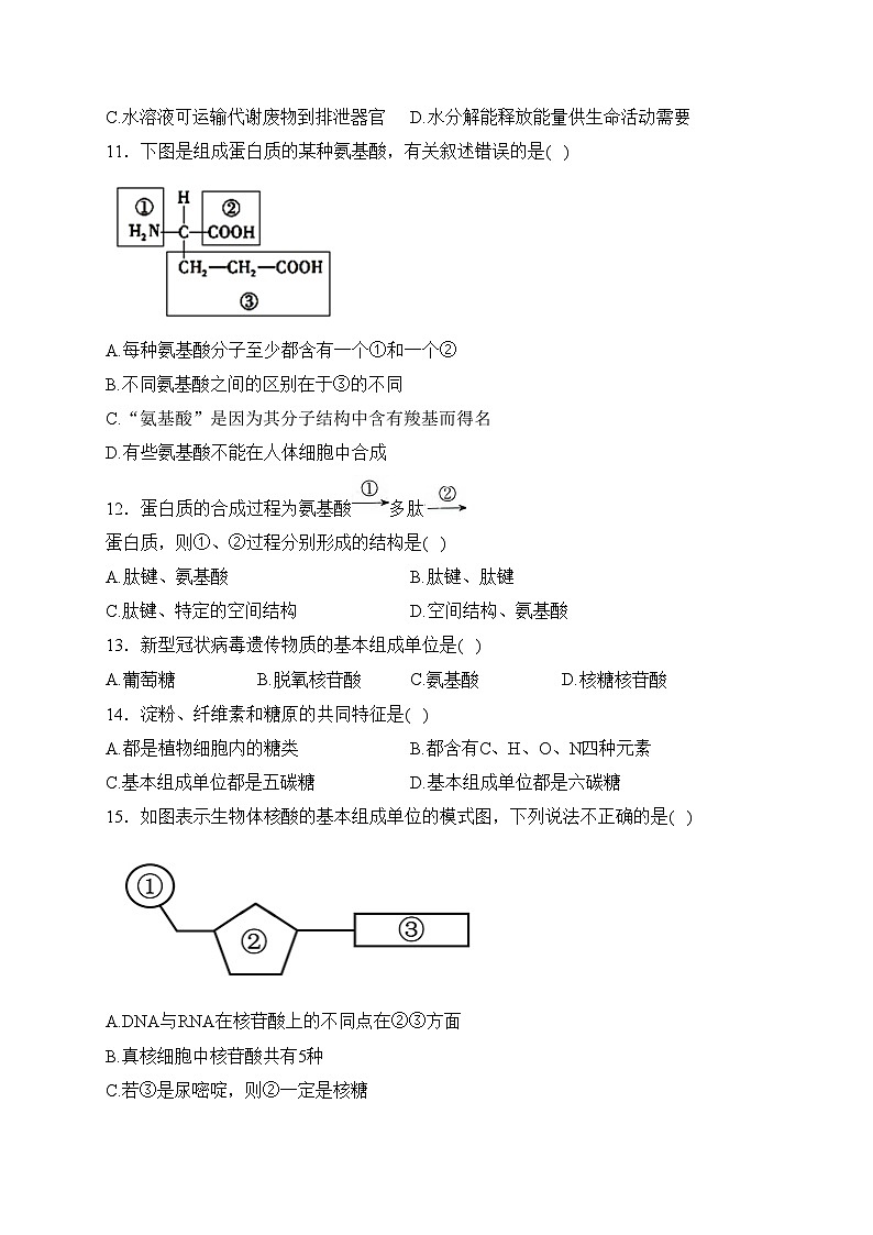福建省莆田市五校2023-2024学年高一上学期期中考试生物试卷(含答案)第3页