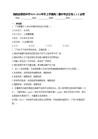 衡阳县第四中学2023-2024学年上学期高二期中考试生物（A）试卷(含答案)