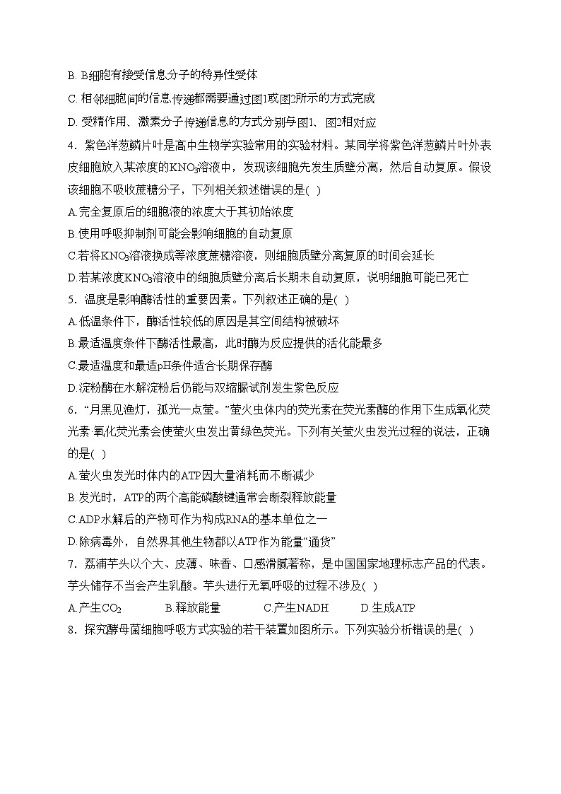 内蒙古部分名校2024届高三上学期期中联考生物试卷(含答案)第2页