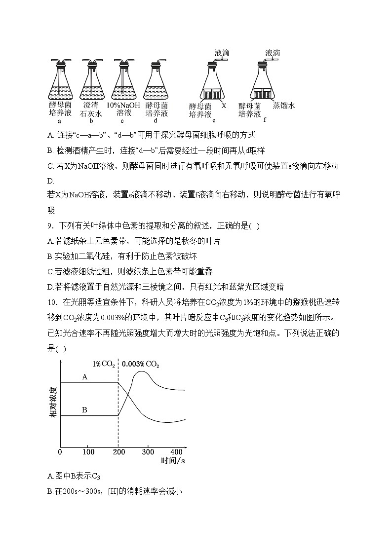 内蒙古部分名校2024届高三上学期期中联考生物试卷(含答案)第3页