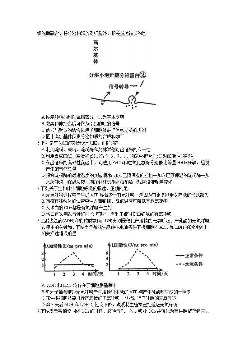 2024郑州高三上学期第一次质量预测试题（一模）生物含答案02