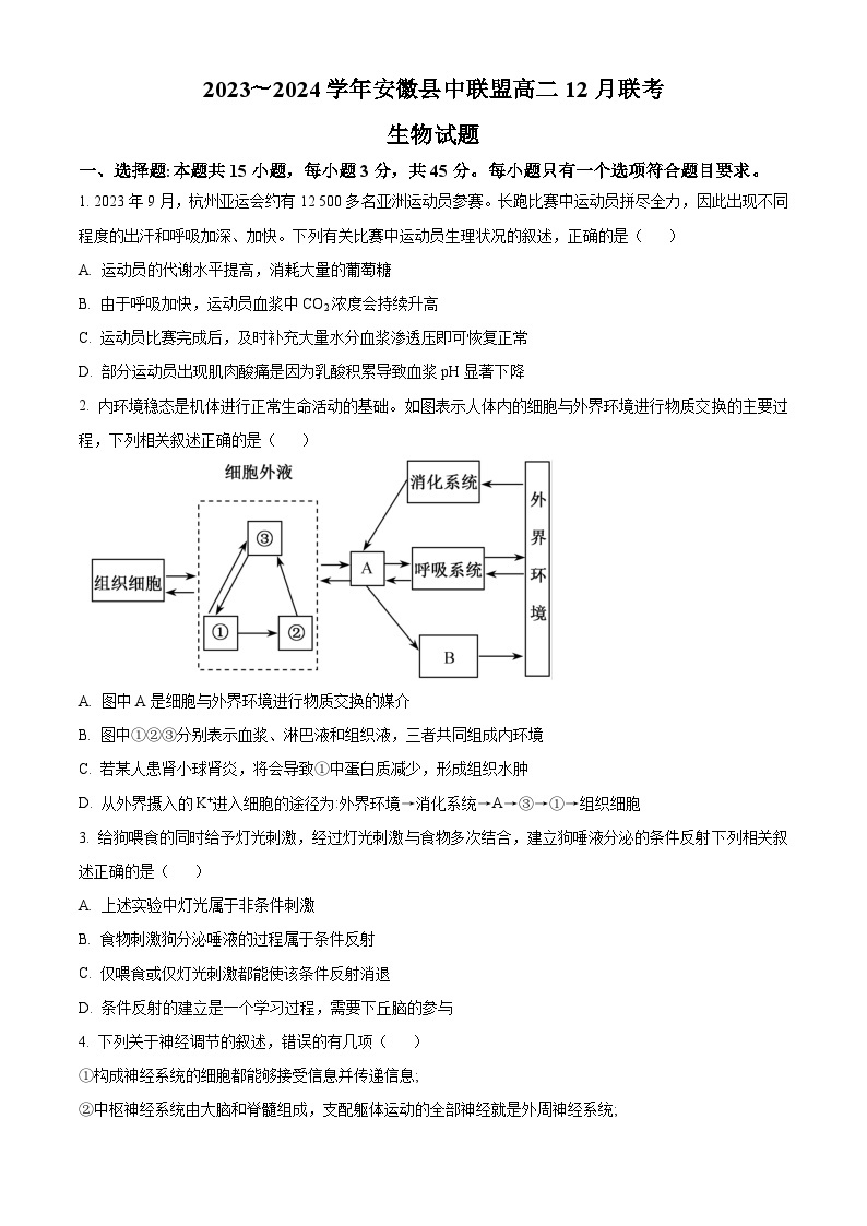 2024安徽省县中联盟高二上学期12月联考生物试题含解析01