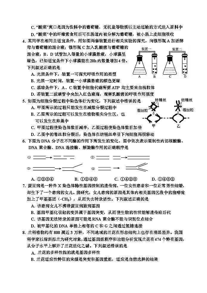 吉林省吉林市2023-2024学年高三上学期第二次模拟考试生物试题(Word版附答案)02