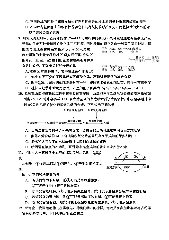 吉林省吉林市2023-2024学年高三上学期第二次模拟考试生物试题(Word版附答案)03