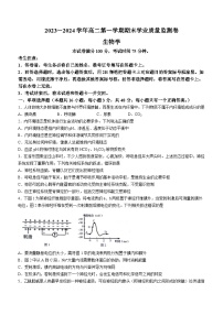 甘肃省2023-2024学年高二上学期期末生物试题