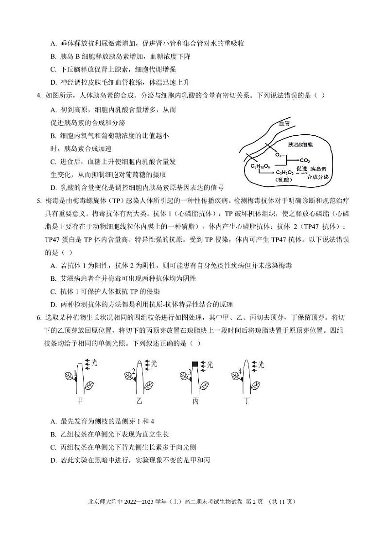 北京师范大学附属中学2022-2023学年高二上学期期末生物试题第2页