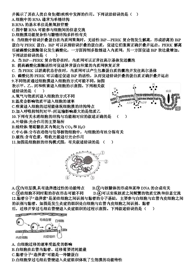山东省嘉祥县第一中学2023-2024学年高一上学期12月月考生物试题(Word版附答案)02
