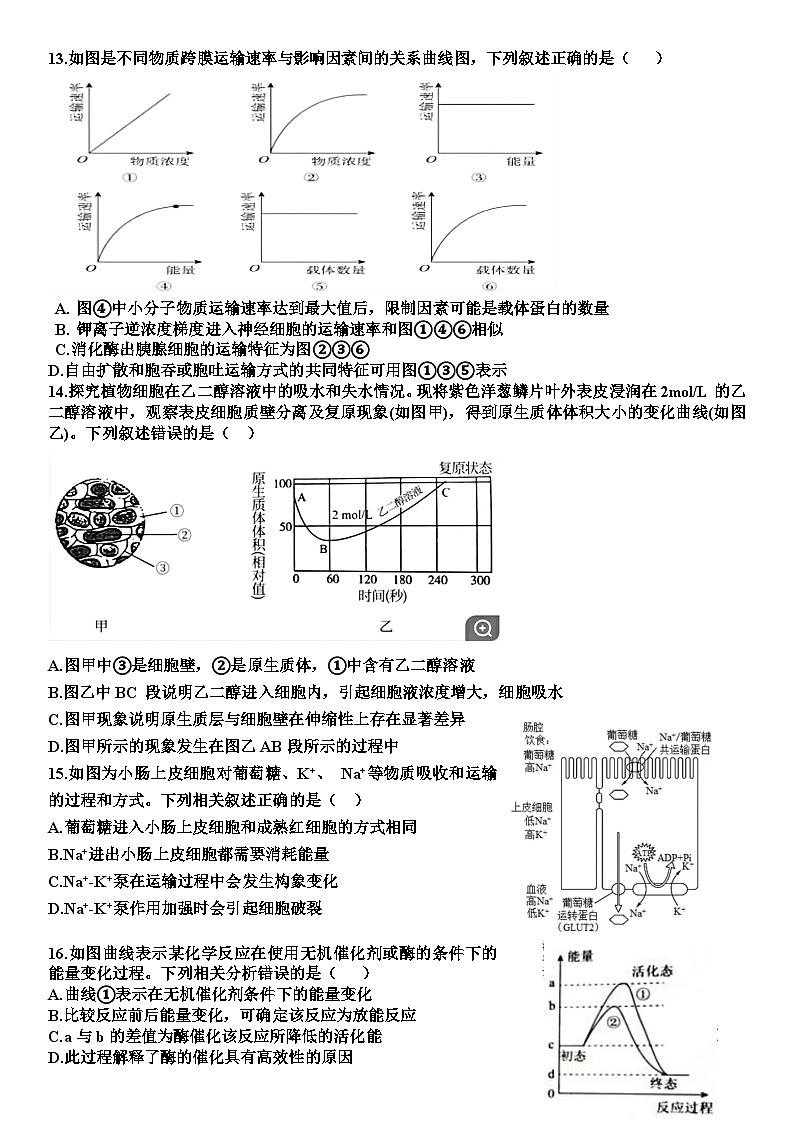 山东省嘉祥县第一中学2023-2024学年高一上学期12月月考生物试题(Word版附答案)03