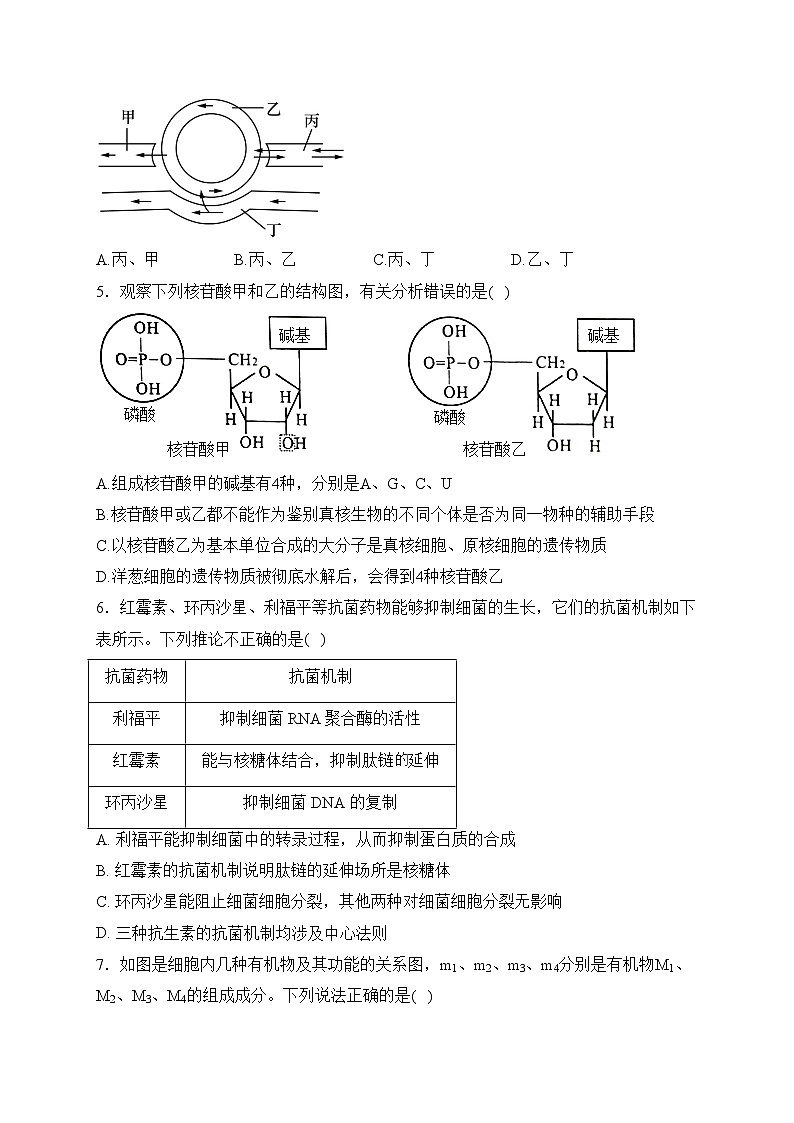 黑龙江省鸡西市密山市高级中学等4校2023-2024学年高二上学期期末联考生物试卷(含答案)02