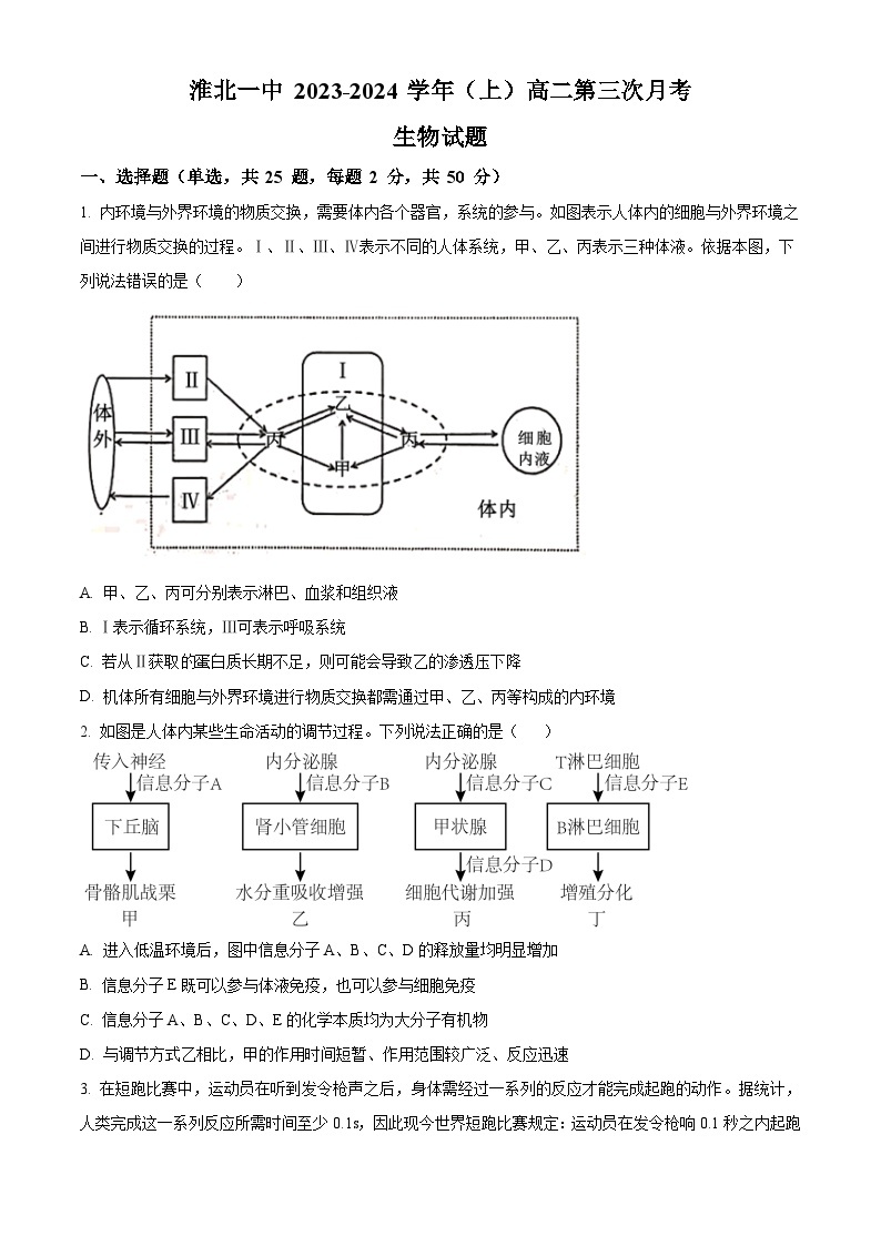 2024淮北一中高二上学期第三次月考生物试题含解析01