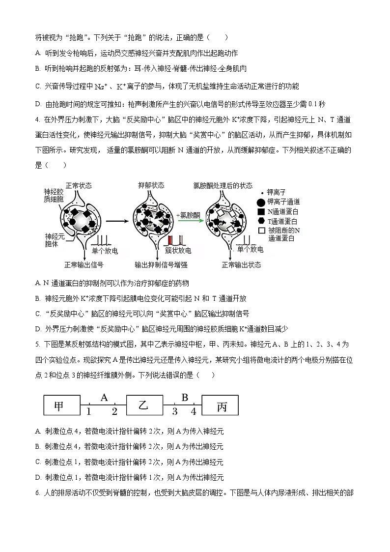 2024淮北一中高二上学期第三次月考生物试题含解析02