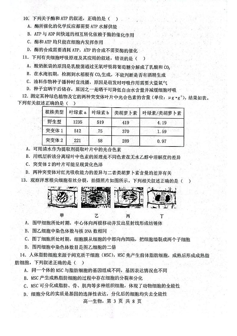辽宁省辽南协作体2023-2024学年高一上学期期末考试生物第3页