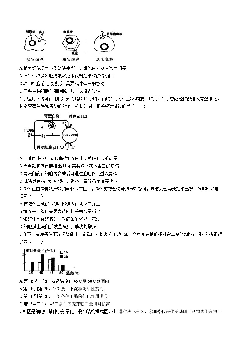 内蒙古呼和浩特市2023—2024+学年高三上学期期末教学质量检测试生物试题02