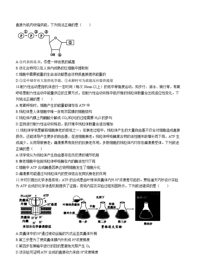内蒙古呼和浩特市2023—2024+学年高三上学期期末教学质量检测试生物试题03