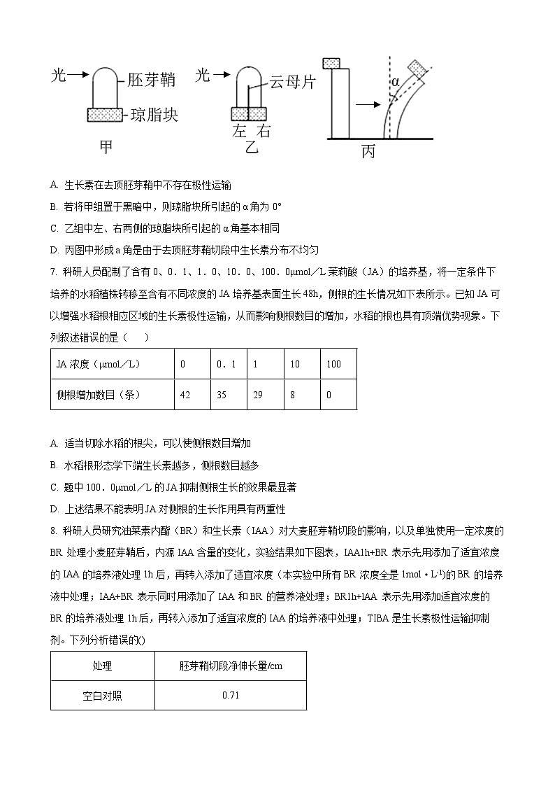 2024通化梅河口五中高三上学期1月期末考试生物含解析第3页