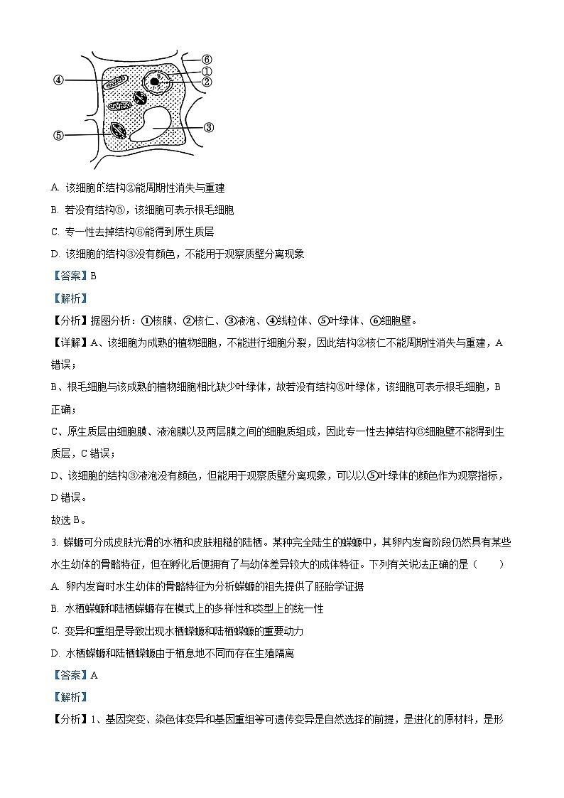 浙江省绍兴市诸暨中学2024届高三上学期1月模拟生物试题(Word版附解析)第2页