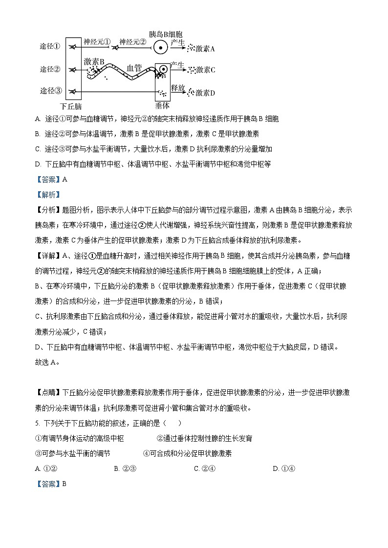 四川省广安市华蓥中学2023-2024学年高二上学期1月月考生物试题(Word版附解析)03