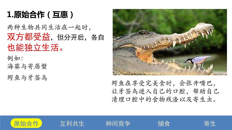 2.1 群落的结构(第二课时)-2023-2024学年高二生物同步精品课件(人教版选择性必修第二册)第5页