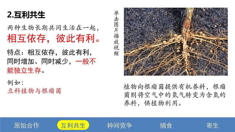 2.1 群落的结构(第二课时)-2023-2024学年高二生物同步精品课件(人教版选择性必修第二册)第6页