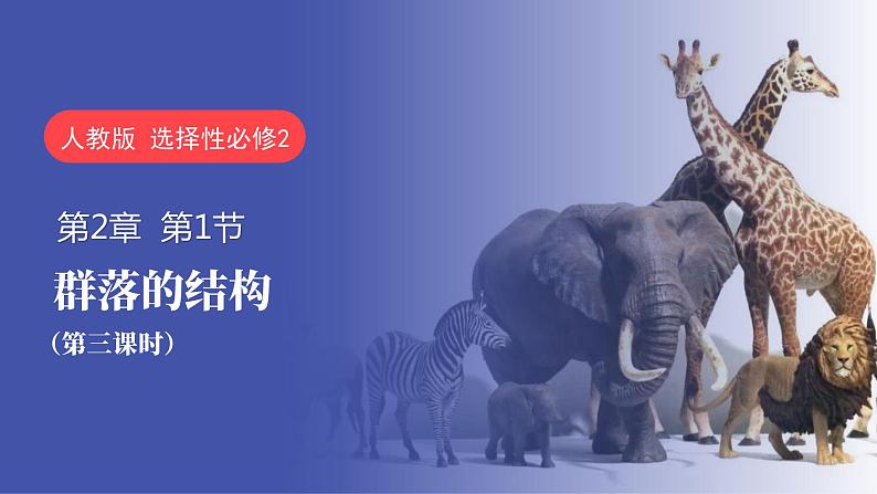 2.1 群落的结构(第三课时)-2023-2024学年高二生物同步精品课件(人教版选择性必修第二册)第1页