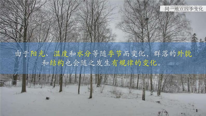 2.1 群落的结构(第三课时)-2023-2024学年高二生物同步精品课件(人教版选择性必修第二册)第3页