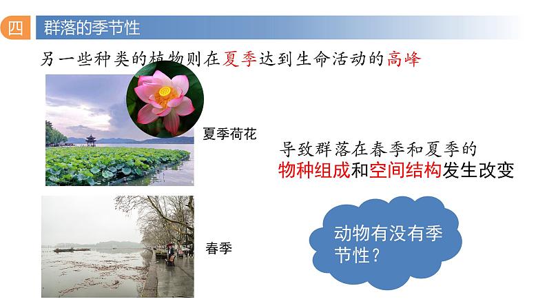 2.1 群落的结构(第三课时)-2023-2024学年高二生物同步精品课件(人教版选择性必修第二册)第7页