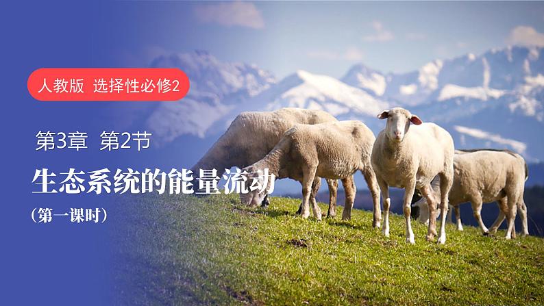 3.2 生态系统的能量流动(第一课时)-高二生物同步精品课件(人教版选择性必修第二册)01