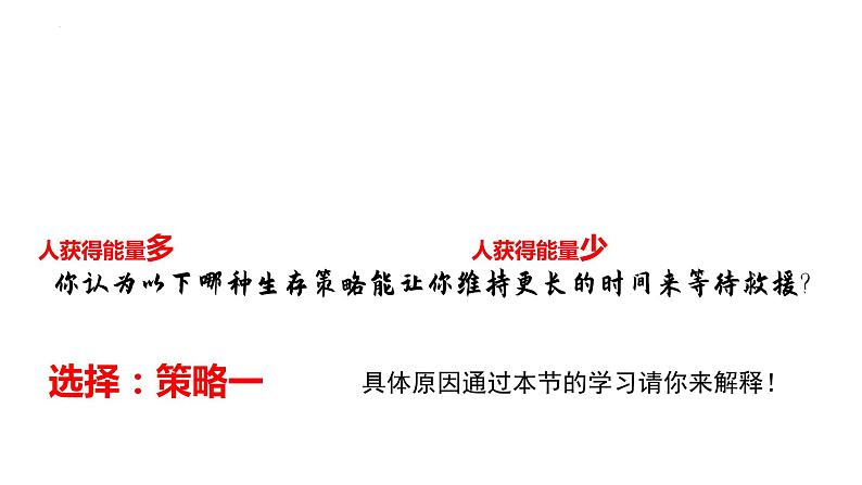 3.2 生态系统的能量流动(第一课时)-高二生物同步精品课件(人教版选择性必修第二册)05