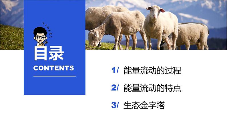 3.2 生态系统的能量流动(第一课时)-高二生物同步精品课件(人教版选择性必修第二册)06