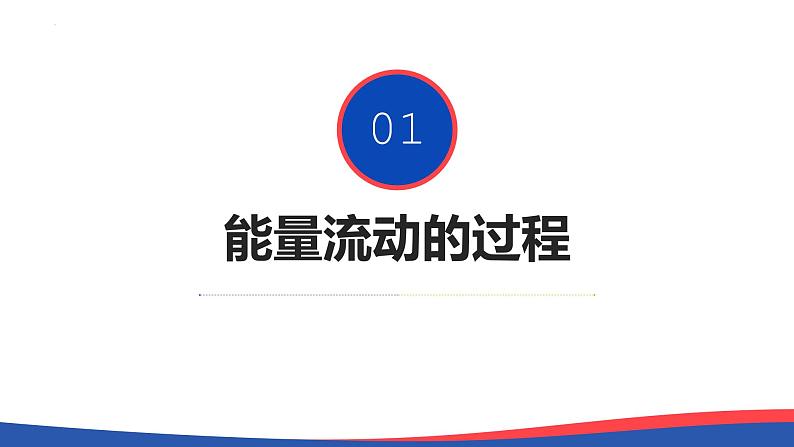 3.2 生态系统的能量流动(第一课时)-高二生物同步精品课件(人教版选择性必修第二册)07
