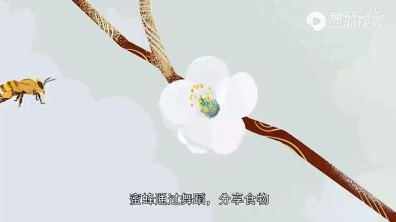 3.4+生态系统的信息传递-高二生物同步精品课件(人教版选择性必修第二册)02