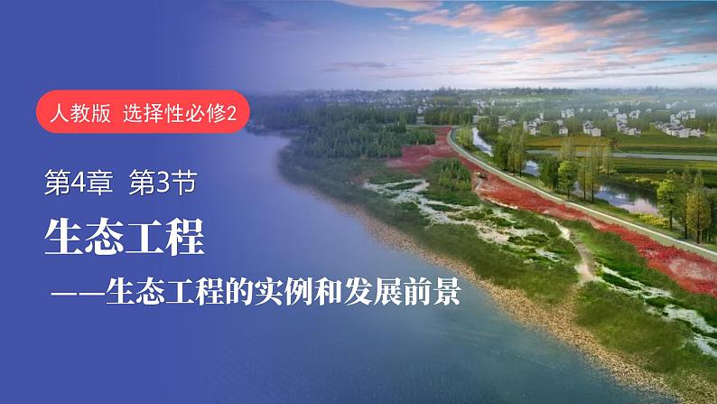 4.3+生态工程(第二课时)-高二生物同步精品课件(人教版选择性必修第二册)03