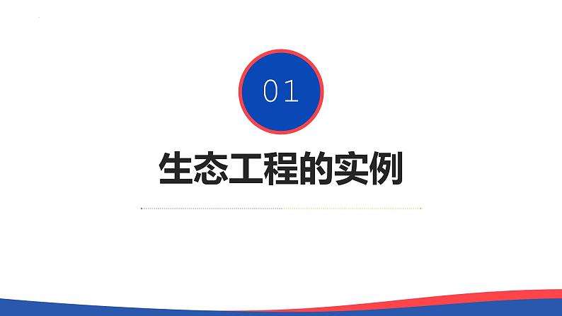 4.3+生态工程(第二课时)-高二生物同步精品课件(人教版选择性必修第二册)05