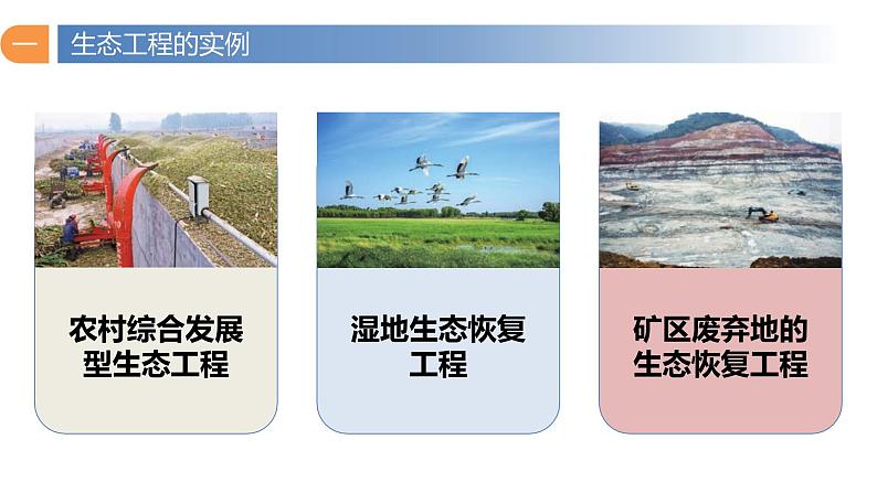 4.3+生态工程(第二课时)-高二生物同步精品课件(人教版选择性必修第二册)06