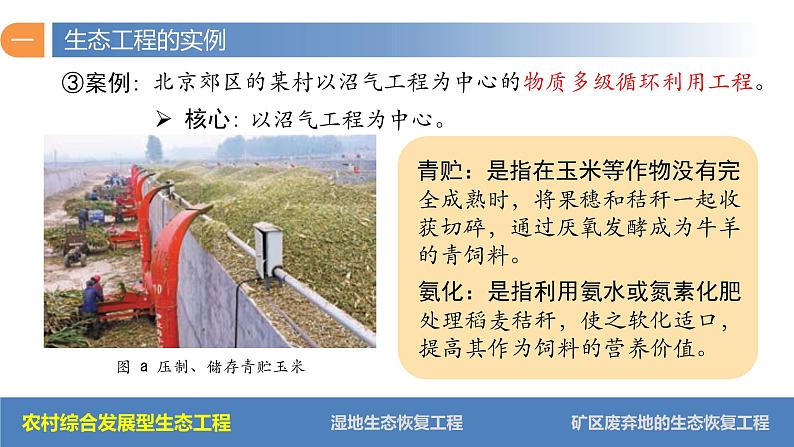 4.3+生态工程(第二课时)-高二生物同步精品课件(人教版选择性必修第二册)08