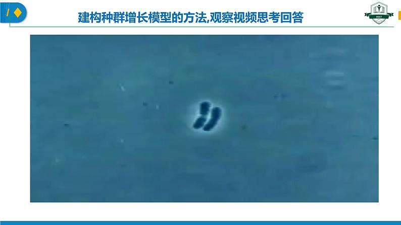 1.2.1 种群数量的变化(名师精讲课件)-2023-2024学年高二生物同步精品课件(人教版选择性必修第二册)第2页