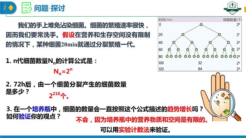 1.2.1 种群数量的变化(名师精讲课件)-2023-2024学年高二生物同步精品课件(人教版选择性必修第二册)第3页
