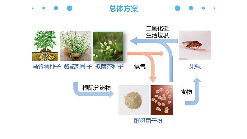 3.1 生态系统的结构(名师精讲课件)-2023-2024学年高二生物同步精品课件(人教版选择性必修第二册)第3页