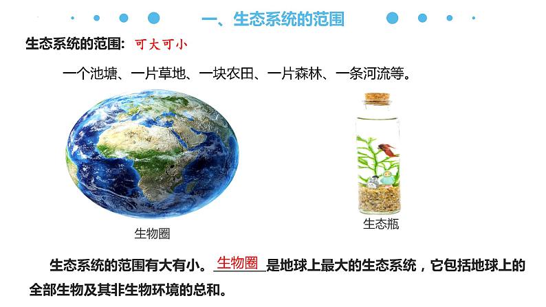 3.1 生态系统的结构(名师精讲课件)-2023-2024学年高二生物同步精品课件(人教版选择性必修第二册)第5页