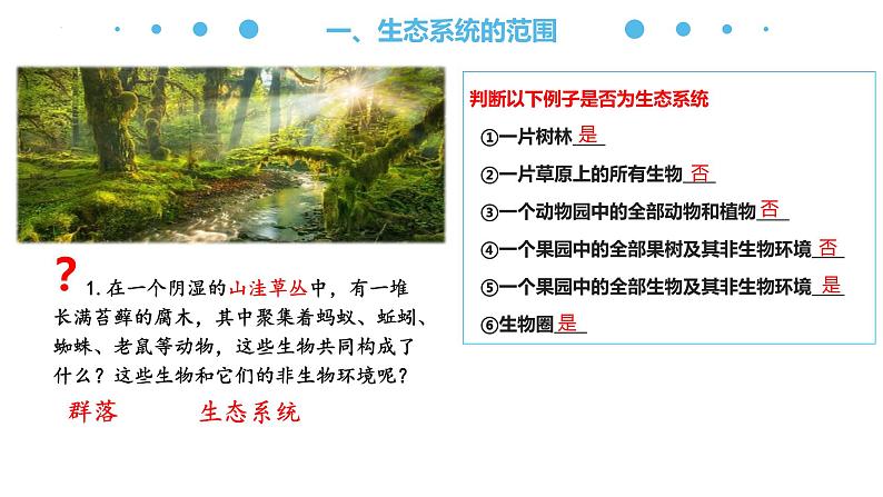 3.1 生态系统的结构(名师精讲课件)-2023-2024学年高二生物同步精品课件(人教版选择性必修第二册)第6页
