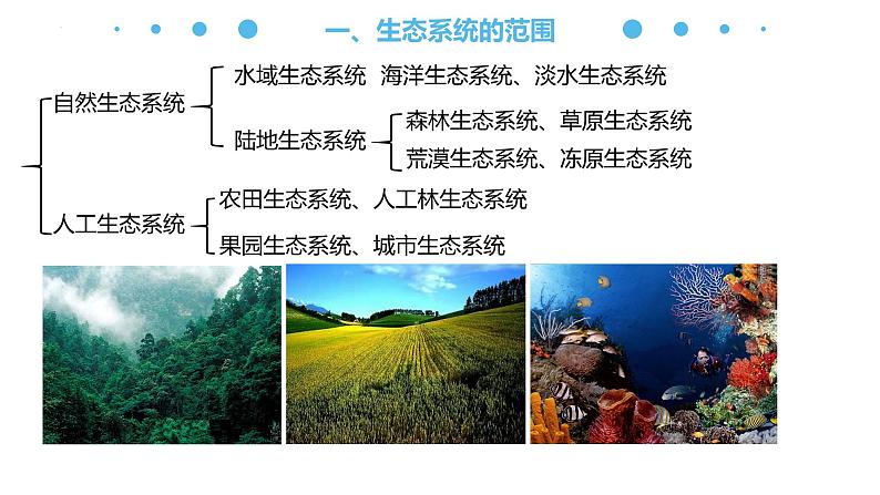 3.1 生态系统的结构(名师精讲课件)-2023-2024学年高二生物同步精品课件(人教版选择性必修第二册)第7页