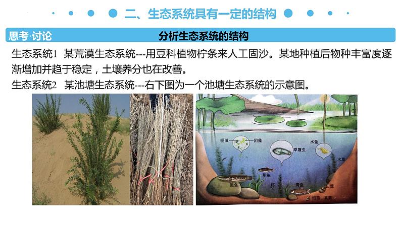 3.1 生态系统的结构(名师精讲课件)-2023-2024学年高二生物同步精品课件(人教版选择性必修第二册)第8页